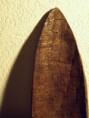 /album/galerie-de-photos-nature/sous-ecorce-jpg/
